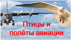 Russia birdstrike