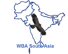 birdstrike India